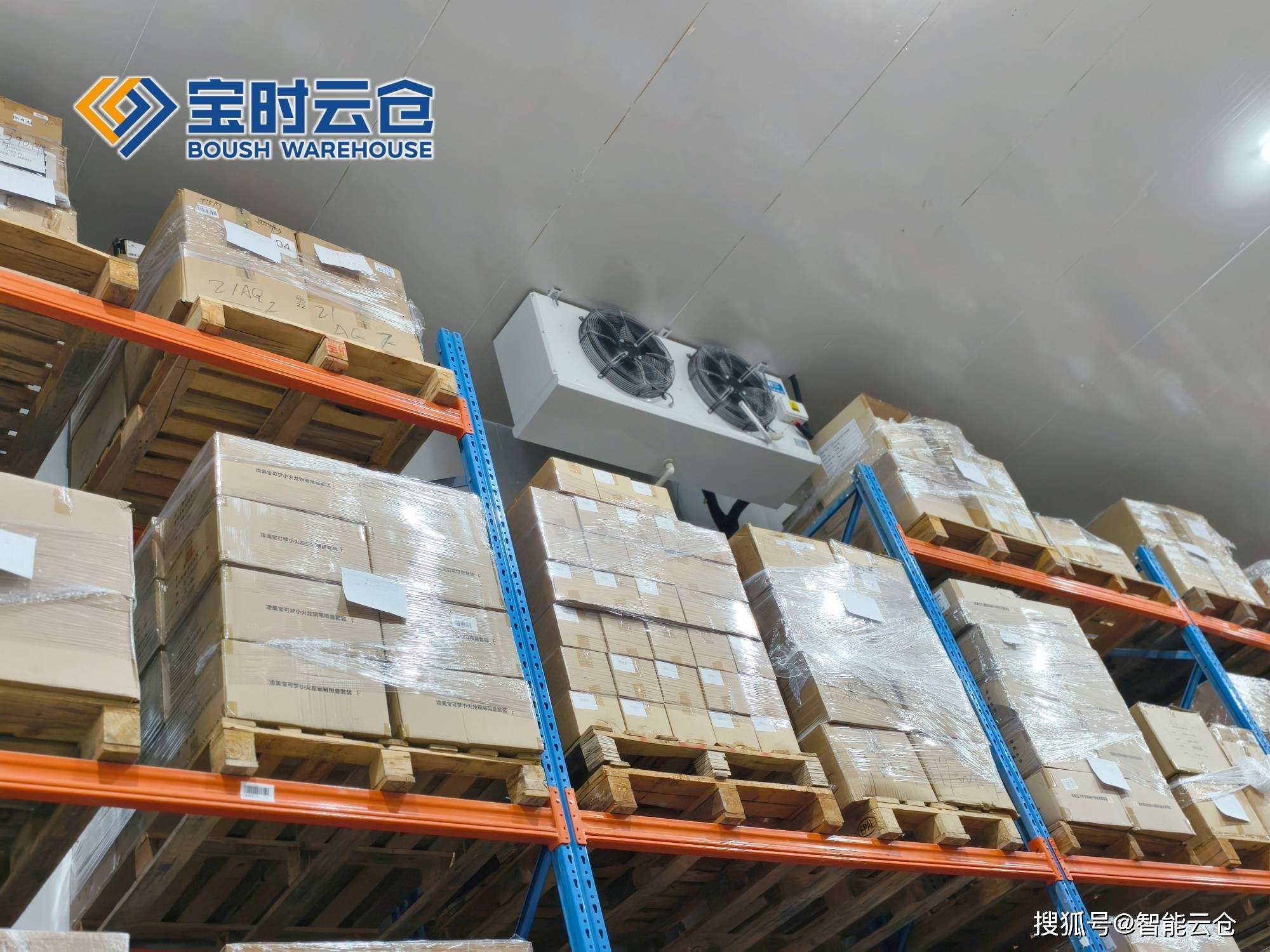 儋州市领先物流品牌升级(领先物流服务商是自营物流)