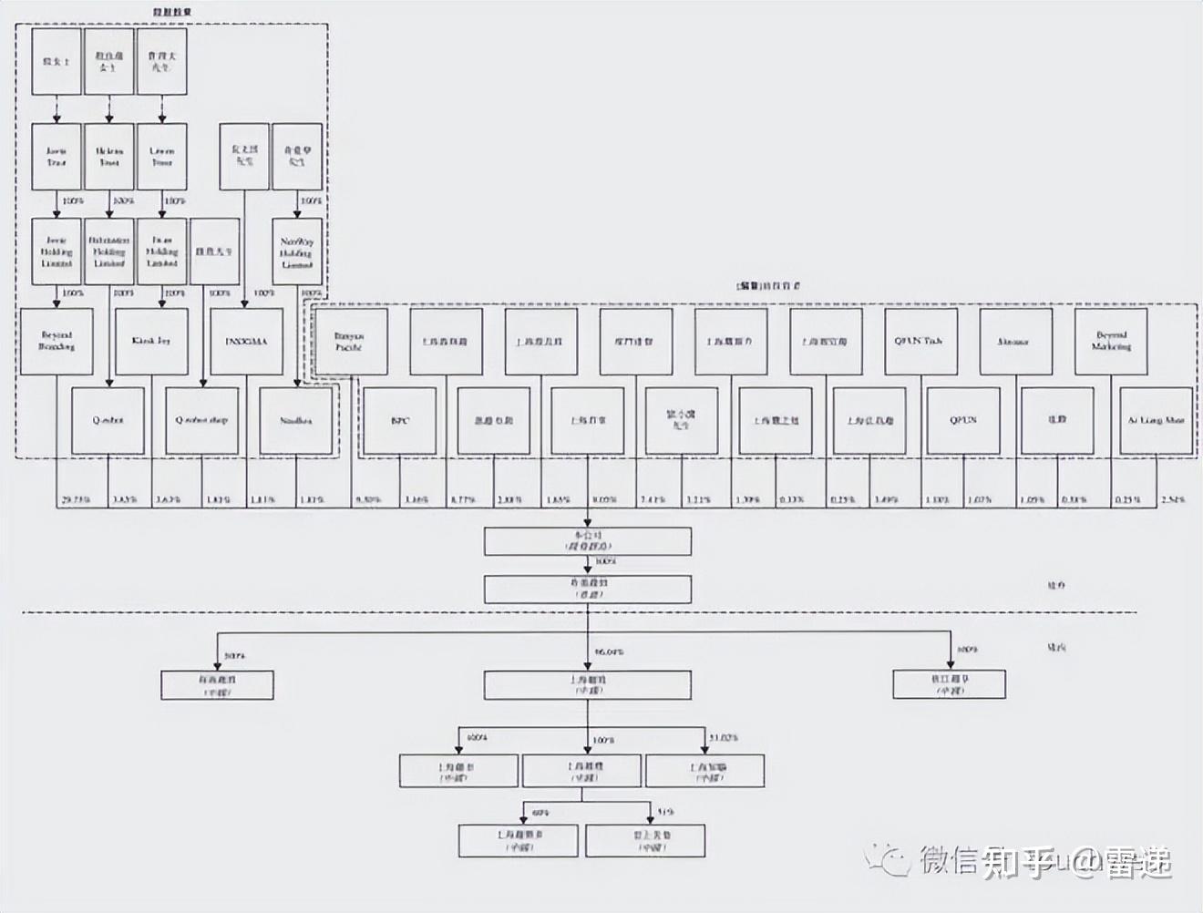 儋州市投票权安排财务优化(投票权类型是什么意思)