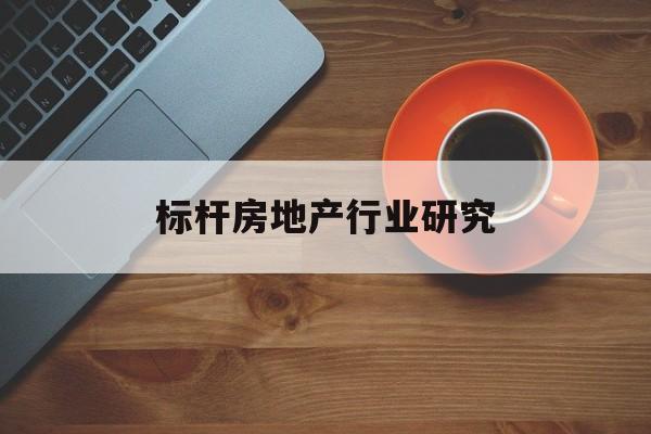 儋州市标杆房地产行业研究(房地产领域的标杆人物)