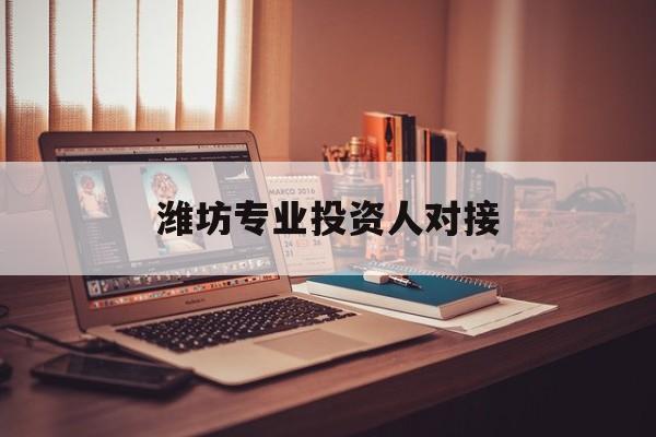 儋州市潍坊专业投资人对接(潍坊专业投资人对接中心)