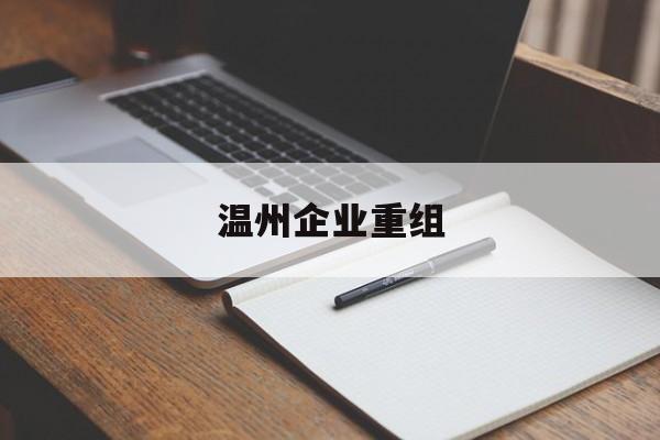 儋州市温州企业重组(温州市国有企业重组改革)