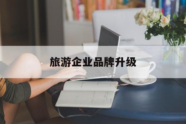 儋州市旅游企业品牌升级(旅游企业品牌升级措施)
