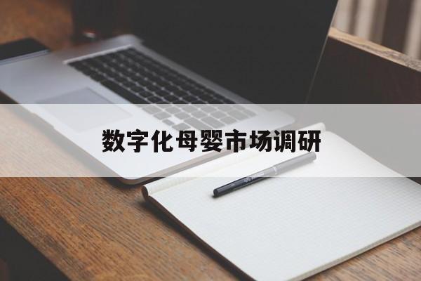 儋州市数字化母婴市场调研(数字化母婴市场调研报告)